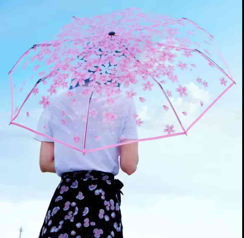 Transparent Flower Design Umbrella